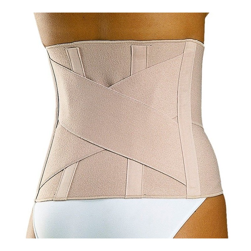 Faja classic talla 2 l250 orliman Orliman - 1